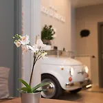 B&B Eco Di