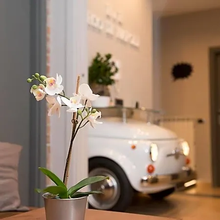 Eco Di Bed and breakfast